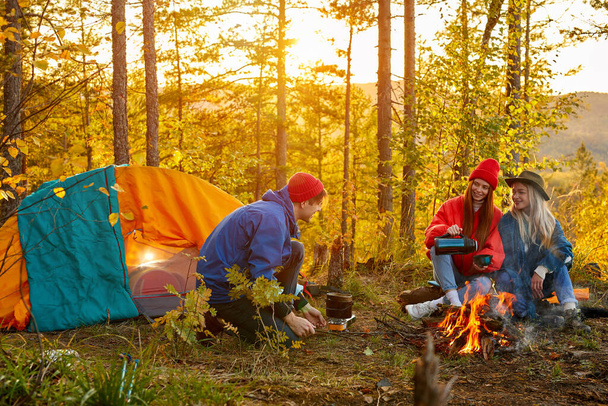 beautiful youth set up a campground - 写真・画像