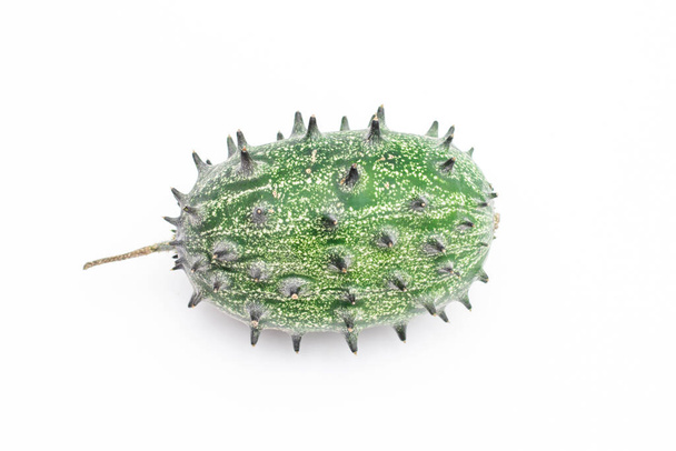 Concombre capricieux vert avec des épines. - Photo, image