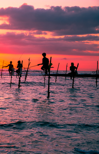 Sri Lanka pescador tradicional de zancos
 - Foto, Imagen