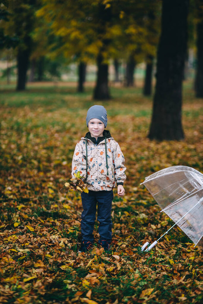 child plays in the park, throws autumn leaves - Foto, Bild