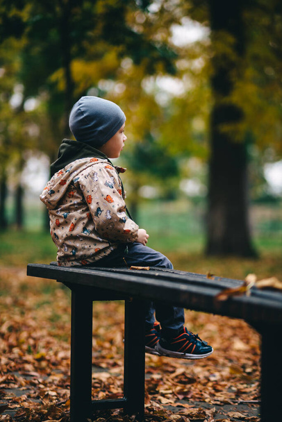 little child sitting on a bench in autumn park - Фото, изображение