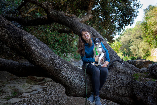 Young woman posing sitting in a tree with her border collie puppy on a mountain hike. - Foto, Imagem