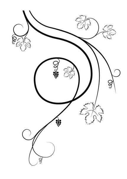 musta viiniköynnöksen lehdet ja greippi valkoisella pohjalla - Vektori, kuva