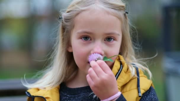 Porträt eines entzückenden kleinen Mädchens hält eine Kleeblume in seinen Händen. Nettes Mädchen, 5 Jahre alt, schlaue Augen, die mit einem Lächeln in die Kamera schauen. Nahaufnahme Shot Video. Zeitlupenaufnahmen - Filmmaterial, Video