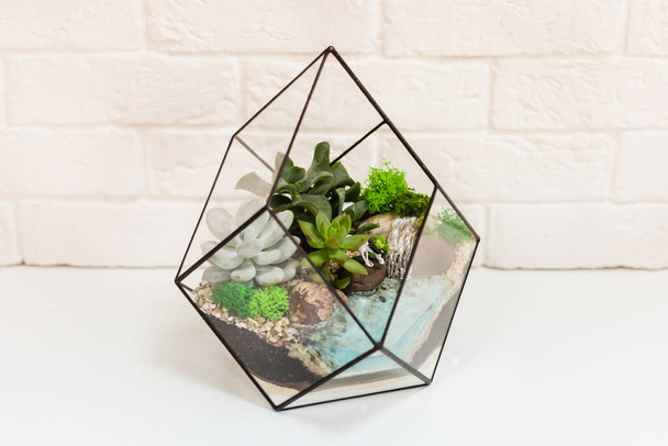 Florarium - composition of succulents, stone, sand and glass, element of interior, home decor, glass terarium - Valokuva, kuva