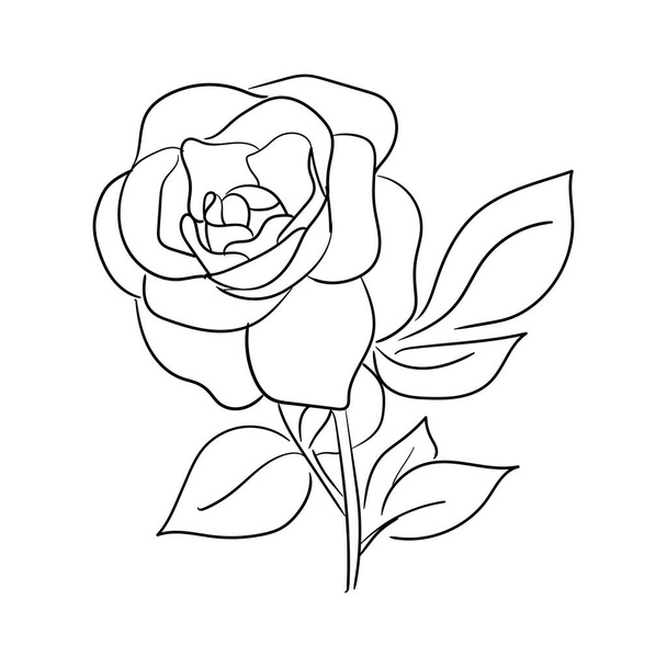 simple hand drawn line art rose flower vector illustration suitable for decoration and logo template - Wektor, obraz