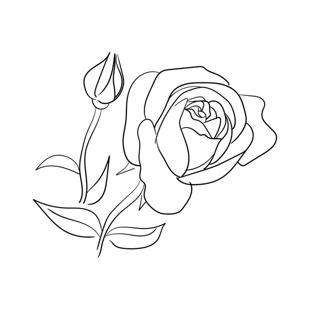 simple hand drawn line art rose flower vector illustration suitable for decoration and logo template - Vektör, Görsel