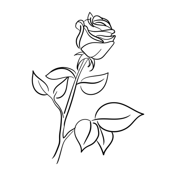 semplice linea disegnata a mano arte rosa fiore vettoriale illustrazione adatto per la decorazione e modello logo - Vettoriali, immagini