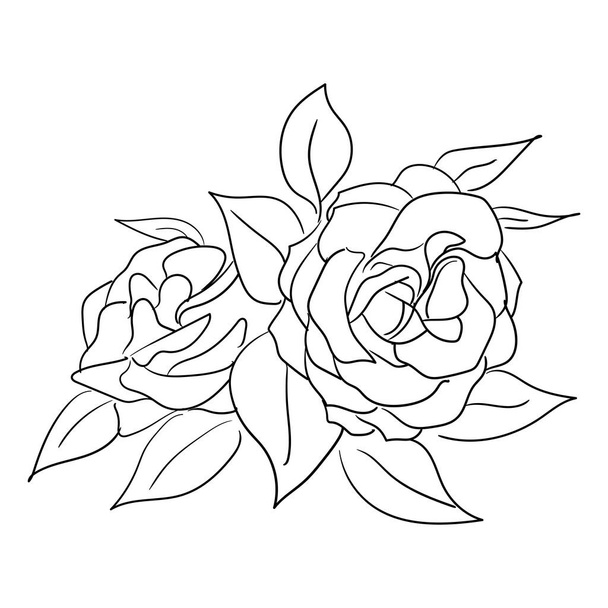 Jednoduché ručně kreslené čáry umění růže vektor květu ilustrace vhodné pro dekoraci a logo šablony - Vektor, obrázek