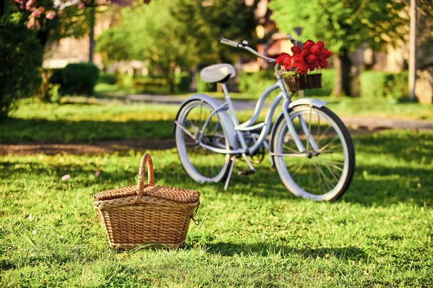 Picnic time. Nature cycling tour. Retro bicycle with picnic basket. Bike rental shops primarily serve typically travellers and tourists. Vintage bike garden background. Rent bike to explore city - Foto, Imagem