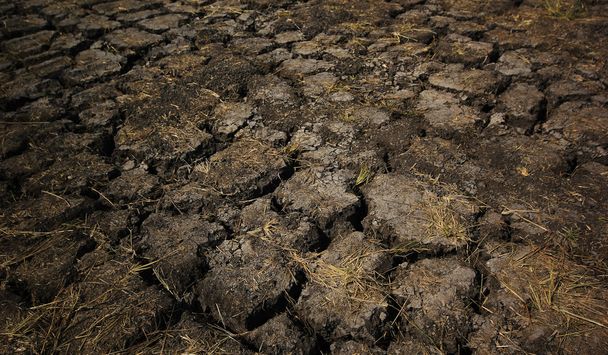 Tierra seca agrietada como fondo
 - Foto, Imagen