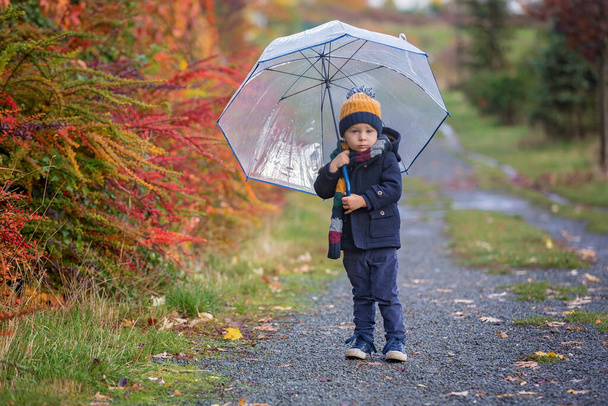 Sweet toddler blond child, cute boy, playing in autumn park with colofrul trees and bushes on a rainy day - Foto, afbeelding