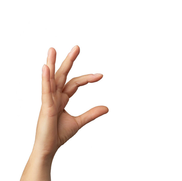 mano femenina levantada y sujetando condicionalmente un objeto, parte del cuerpo se aísla sobre un fondo blanco - Foto, Imagen