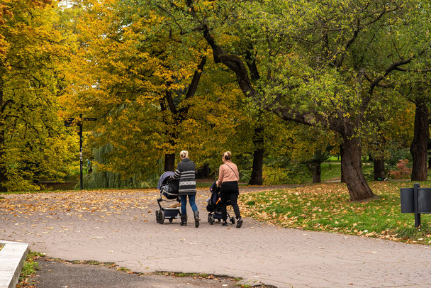 Duas mães estão andando e conversando enquanto levam seus filhos para um passeio no bebê no Letna Park no outono de 2020 em Praga 6 durante o período de quarentena devido ao surto de COVID-19 quando o inverno está começando, República Tcheca - Foto, Imagem