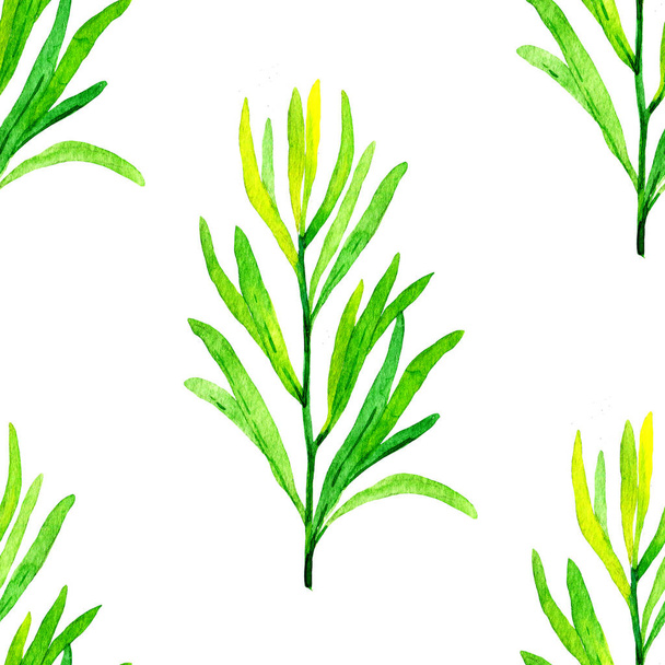 Watercolor seamless pattern with tarragon - Φωτογραφία, εικόνα