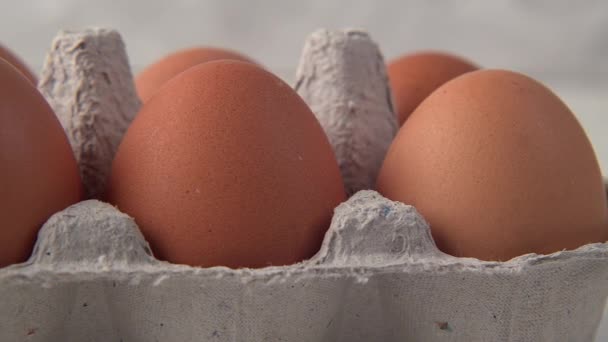 Dolly Shot αυγό κοτόπουλου στην αποβάθρα στο Zoom View. Πρότυπα 4K 422 - Πλάνα, βίντεο