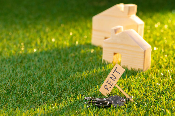 Wooden toy house with rent sign on grass - Foto, afbeelding