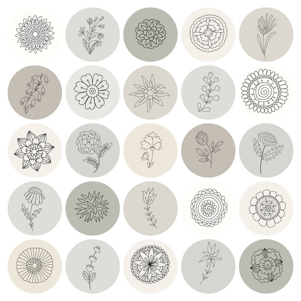 Icone botaniche per la tua storia sui social media Highlights con scarabocchi botanici disegnati a mano - Vettoriali, immagini