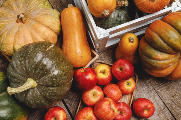 Pumpkins and red apples on wooden background - Foto, imagen