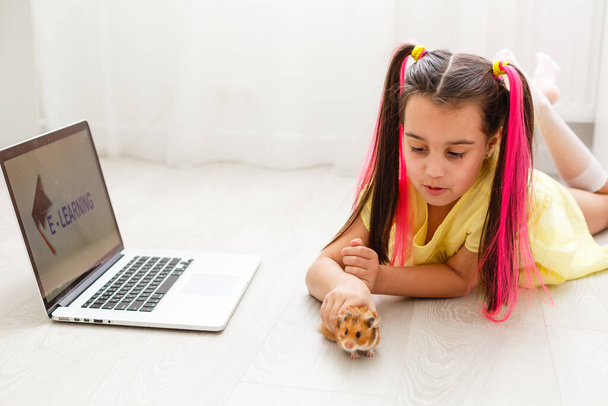 Educate at home. Child girl make homework with pet hamster. Funny ginger hamster sitting on table where kid is writing. Back to school. - Photo, Image