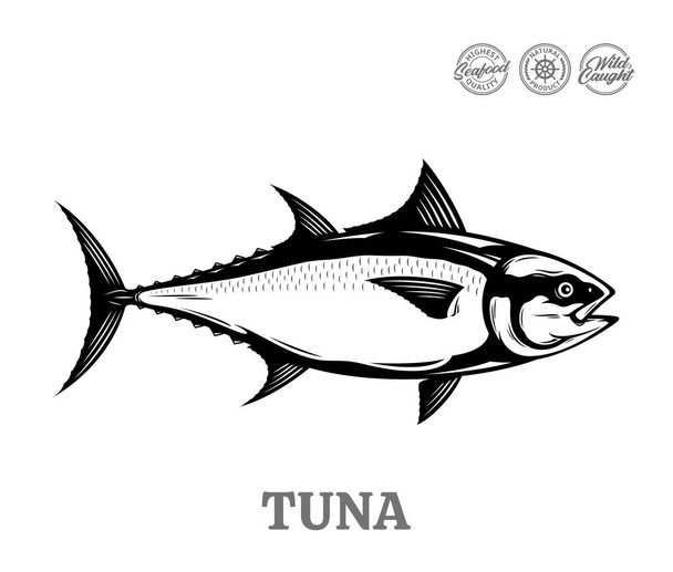 Vector tuna fish illustration isolated on a white background - Vecteur, image