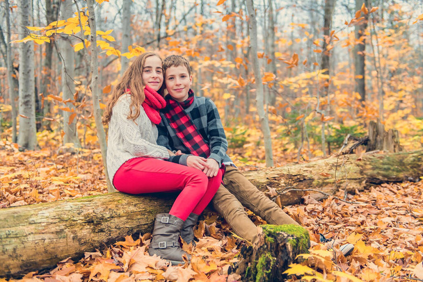 portrait of two child brother and sister in the autumn season outside - Photo, Image