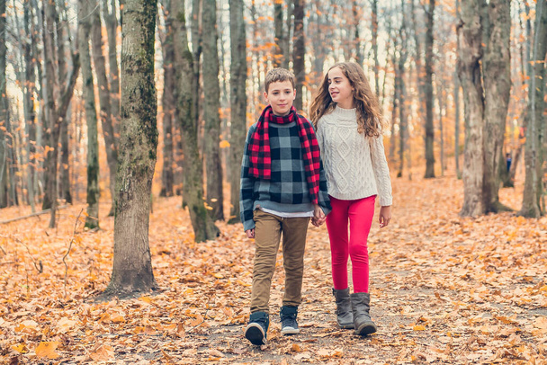 portrait of two child brother and sister in the autumn season outside - Photo, Image