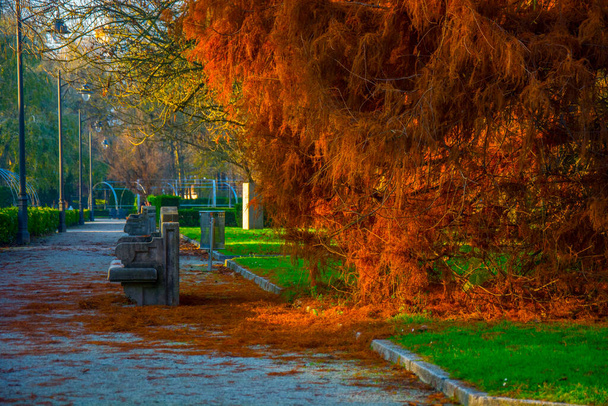 石のベンチ、木やいくつかの色の公園の詳細. - 写真・画像