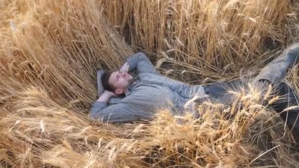 Dolly tiro de jovem agricultor que coloca em hastes de trigo e descansando no prado de cevada. Homem agrônomo deitado em talos de cevada e relaxante no campo de cereais. Conceito de negócio agrícola. Movimento lento - Filmagem, Vídeo