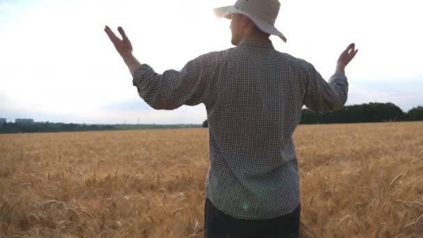 Счастливый молодой фермер, стоящий на спелом пшеничном поле и поднимающий руки на свою золотую плантацию. Мужчина-агроном смотрит на ячменный луг и доволен сезонными ячменными культурами. Концепция сельского хозяйства - Кадры, видео