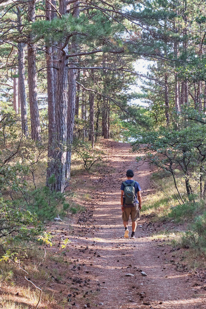 Ένας άντρας με σακίδιο περπατά στο μονοπάτι σε ένα όμορφο φθινοπωρινό δάσος.. - Φωτογραφία, εικόνα
