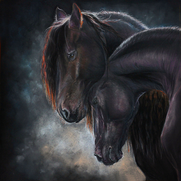 2 つのフリジア語馬の肖像画 - 写真・画像