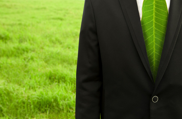 Бизнесмен с зеленым листом
 - Фото, изображение