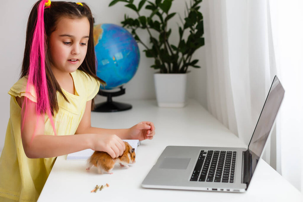 Leren thuis. Meisje maakt huiswerk met hamster. Grappige gemberhamster op tafel waar het kind aan het schrijven is. Terug naar school. - Foto, afbeelding