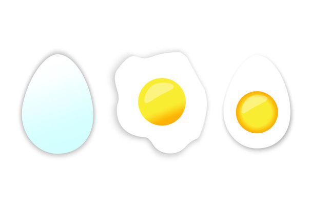 Vector illustration of a fried egg. Cutaway chicken egg. Stock image. EPS 10. - Vector, Image