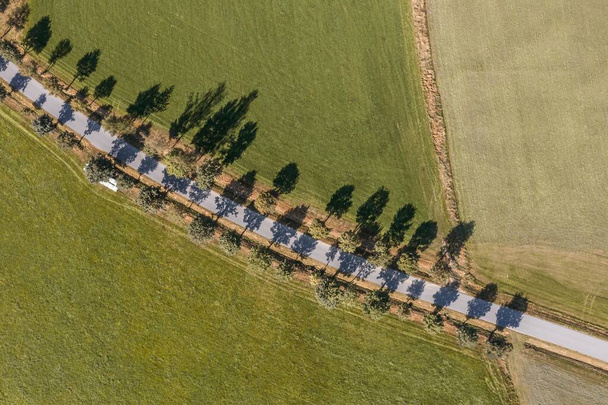 Beelden van een luchtfoto van een straat met laan en velden in het Beierse Woud, Duitsland - Foto, afbeelding