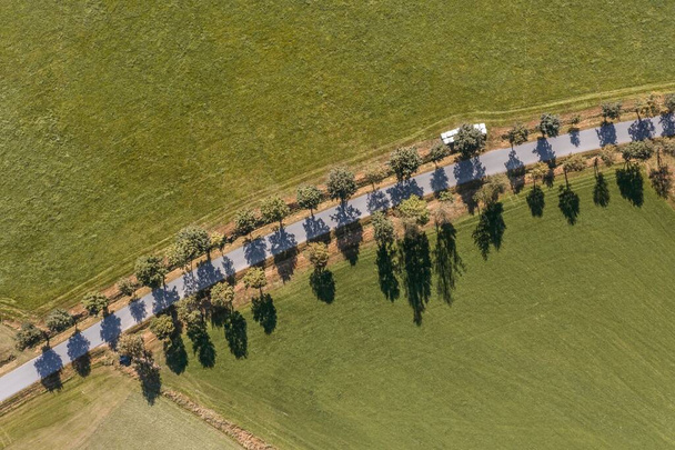 Widok z lotu ptaka na ulicę z aleją i polami łąk i pól w Lesie Bawarskim, Niemcy - Zdjęcie, obraz