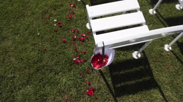 Kaunis häät tuoli ruusun terälehtiä - Materiaali, video