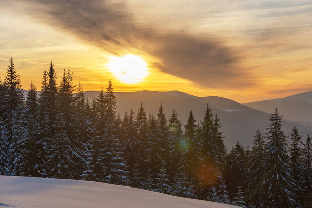 Ciężka zima na pasmie górskim w ukraińskich Karpatach z przytulnymi domami i wspaniałym widokiem na szczyty Hoverla i Petros - Zdjęcie, obraz