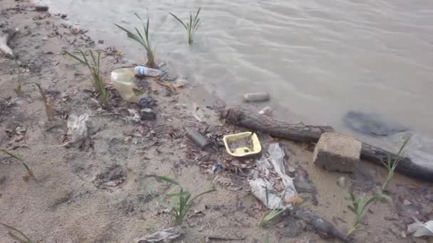 όχθη της λίμνης. πλαστικά απορρίμματα πλάκες στείρα σπασμένα μπουκάλια θραύσματα μεταλλικά δοχεία - Πλάνα, βίντεο
