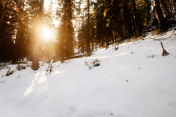 Beautiful winter sunny photo taken in Beskid mountains - Fotoğraf, Görsel