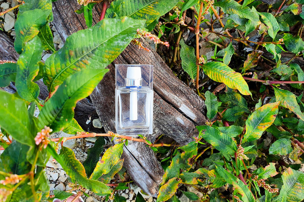 Fehér parfümös üveg a fatörzsön trópusi levelekkel. Felülnézet, másolás - Fotó, kép