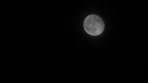la luna llena se mueve en el cielo oscuro - Metraje, vídeo