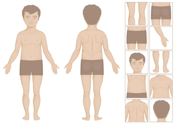 ανθρωπίνων ή αγόρι σώματος, διανυσματικά εικονογράφηση κινουμένων σχεδίων για τα παιδιά - Διάνυσμα, εικόνα