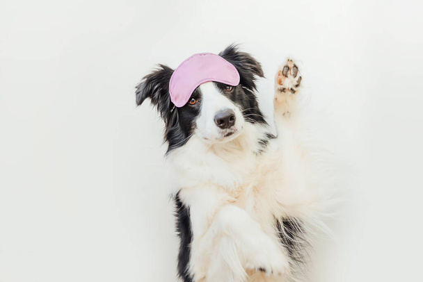 Do not disturb me, let me sleep. Funny cute smiling puppy dog border collie with sleeping eye mask isolated on white background. Rest, good night, siesta, insomnia, relaxation, tired, travel concept. - Foto, Imagen