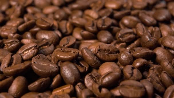 Arabica coffee beans macro shot. Rich Texture - Materiał filmowy, wideo