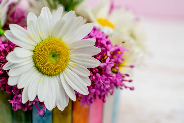 hermosa margarita blanca flores de verano  - Foto, imagen