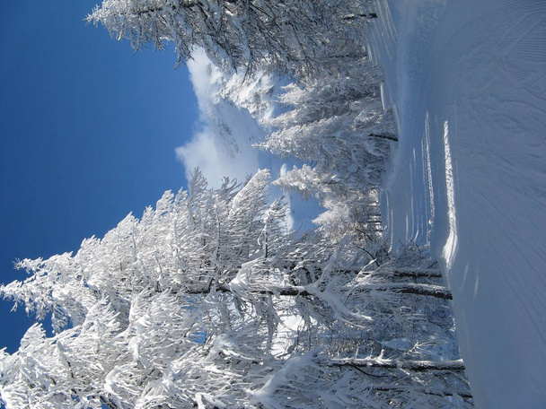 豪雪後の山の風景 - 写真・画像