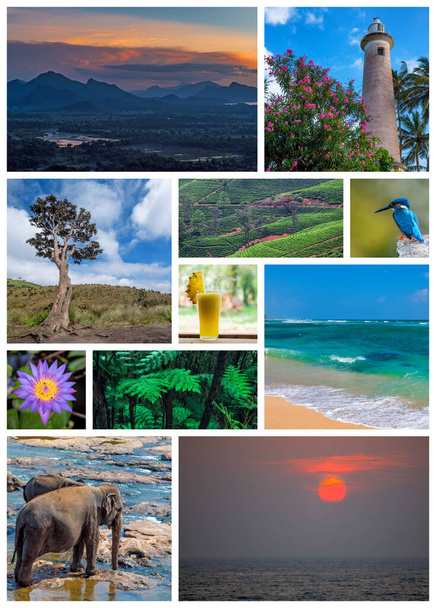 Sri Lanka collage de viaje - Foto, Imagen