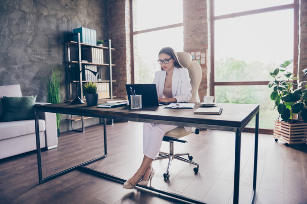 Portrait of her she pretty classy chic focused busy lady insurance specialist analyzing industry report anti crisis plan income growth at modern industrial loft brick interior workplace workstation - Foto, imagen